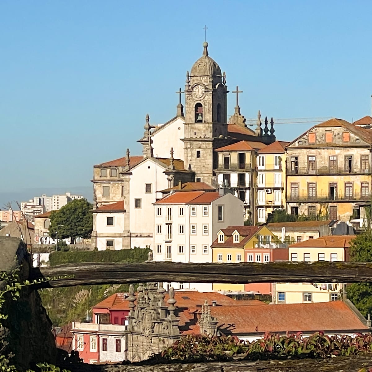 Bollettino creativo n.289