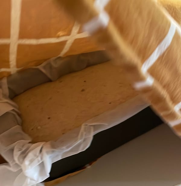 Bollettino creativo n.314